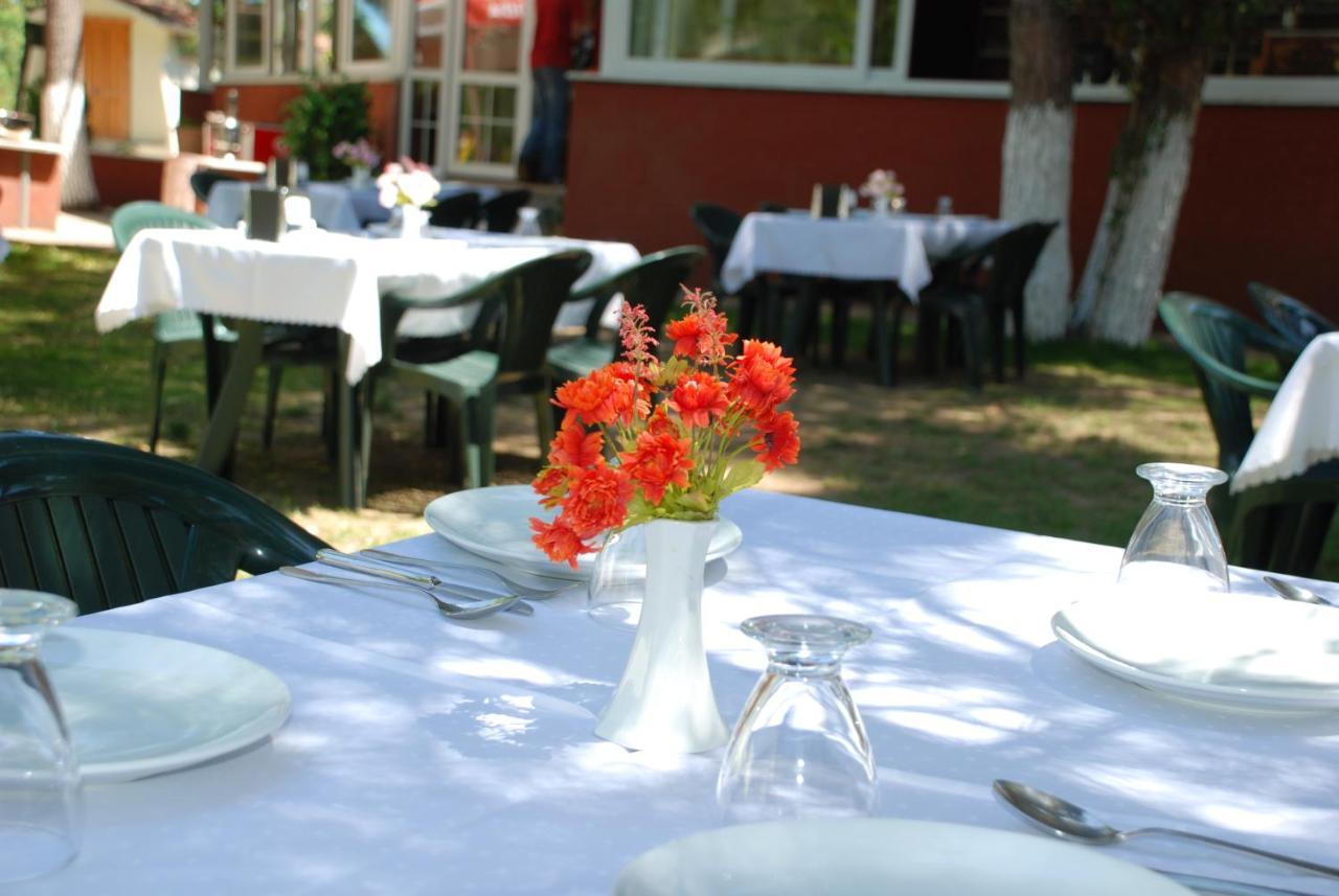 Shila Doert Mevsim Tatil Koyu Hotel Ağva Eksteriør billede