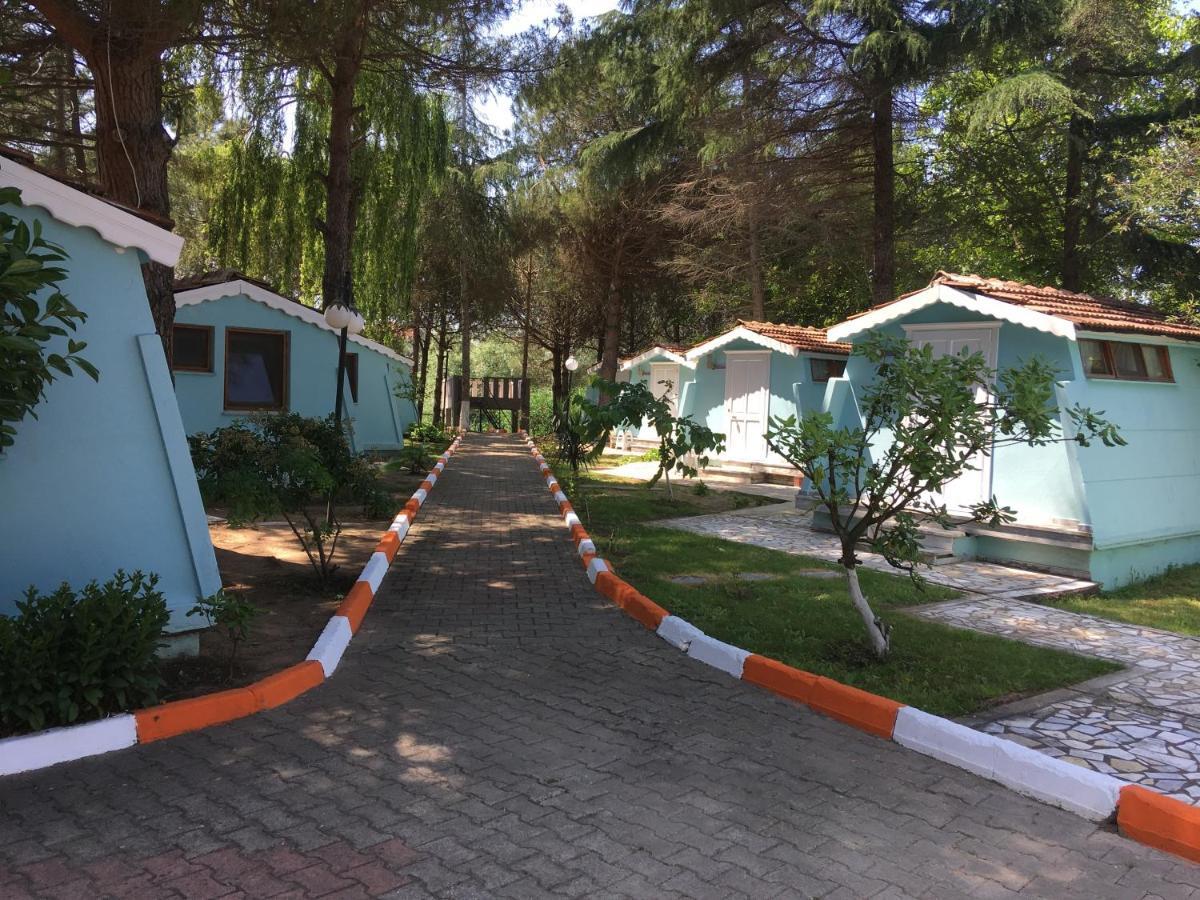 Shila Doert Mevsim Tatil Koyu Hotel Ağva Eksteriør billede