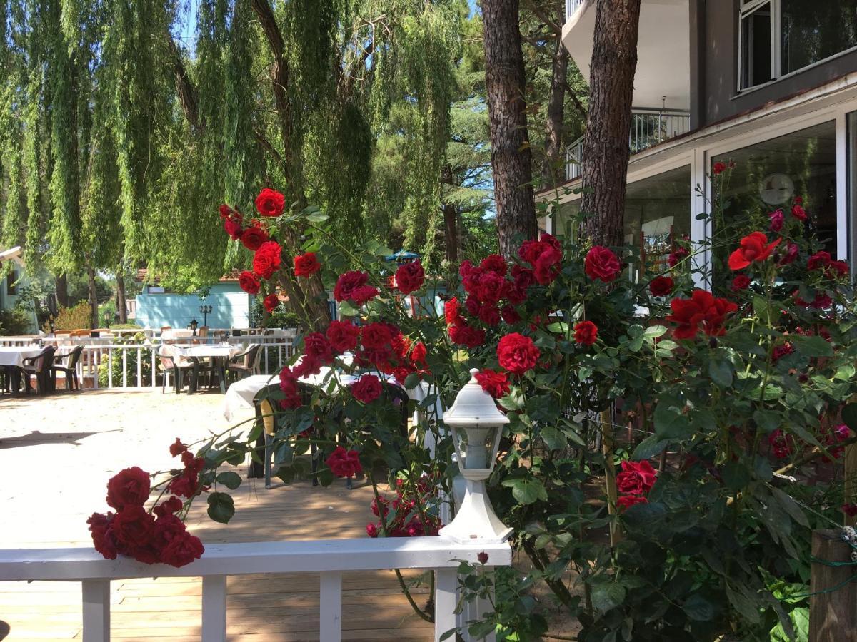 Shila Doert Mevsim Tatil Koyu Hotel Ağva Eksteriør billede