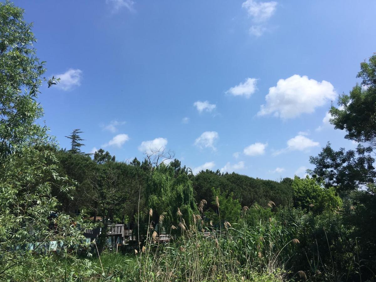 Shila Doert Mevsim Tatil Koyu Hotel Ağva Eksteriør billede
