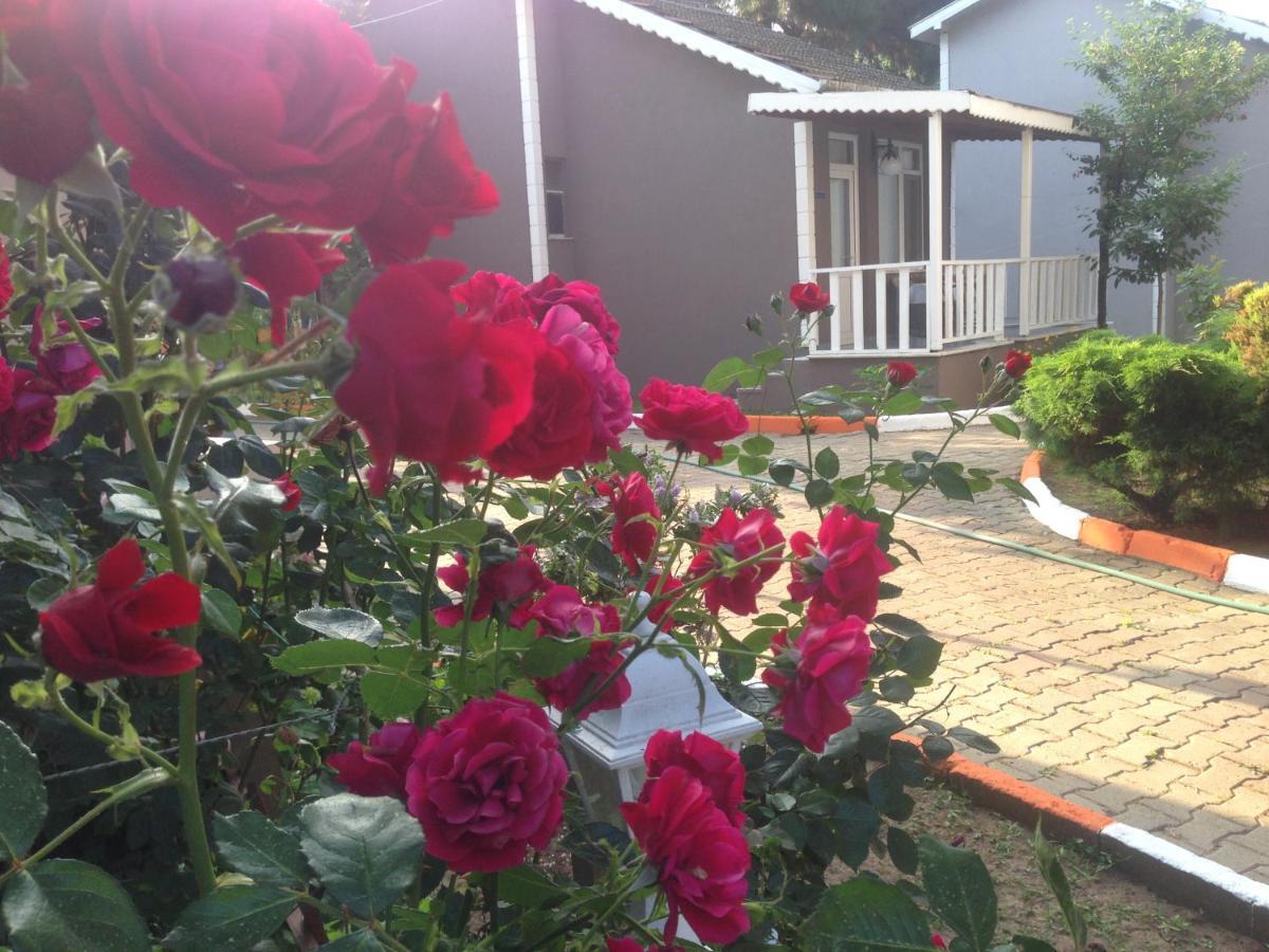 Shila Doert Mevsim Tatil Koyu Hotel Ağva Eksteriør billede
