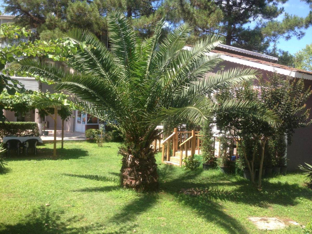 Shila Doert Mevsim Tatil Koyu Hotel Ağva Eksteriør billede